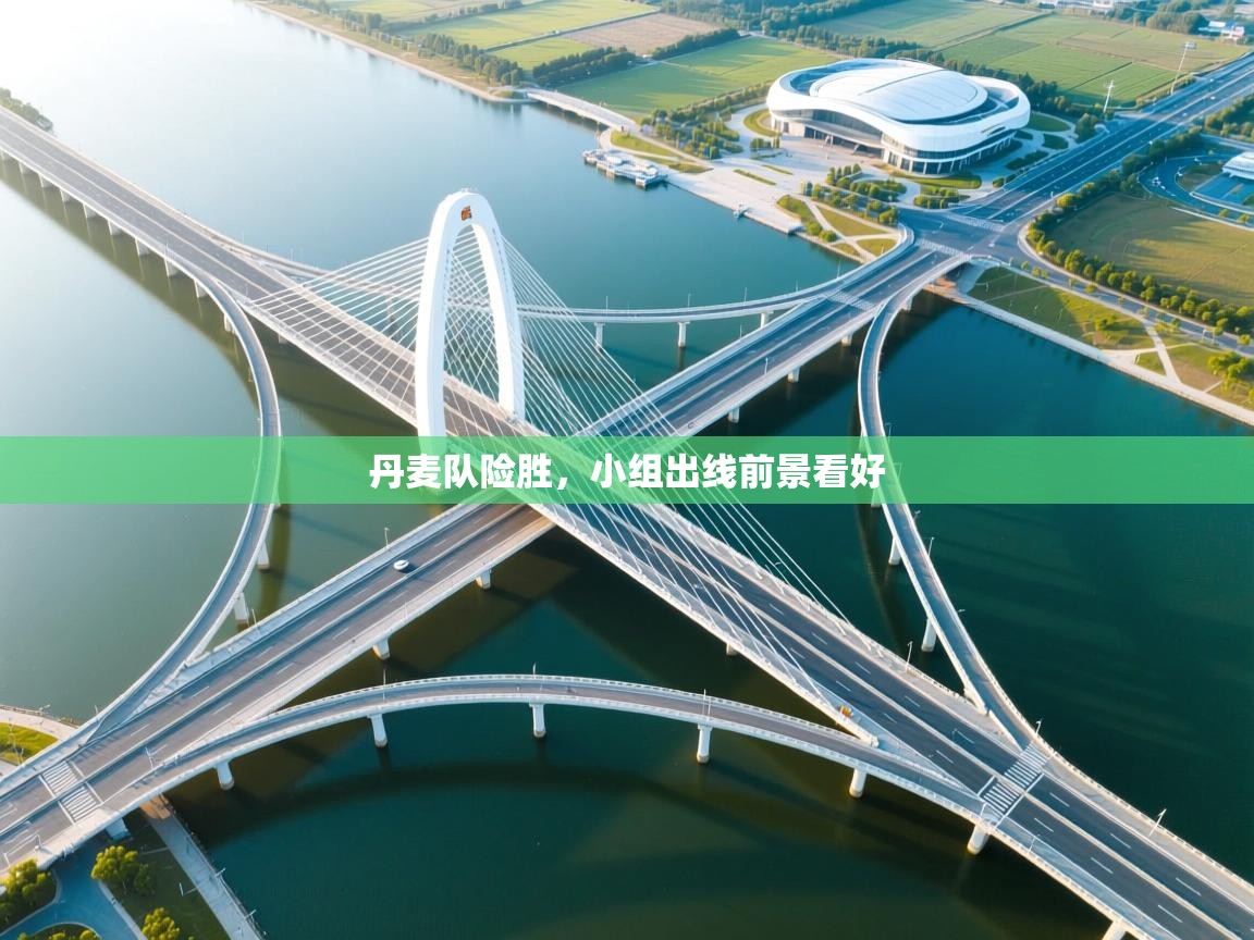 丹麦队险胜，小组出线前景看好  第1张