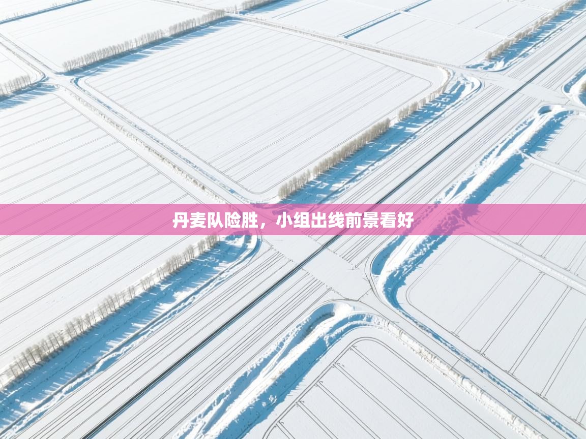 丹麦队险胜，小组出线前景看好  第2张