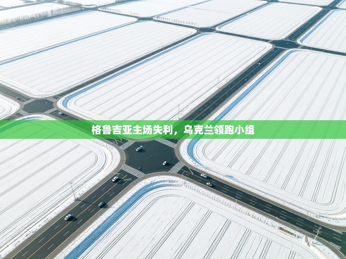 格鲁吉亚主场失利，乌克兰领跑小组  第1张