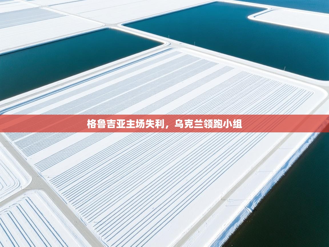 格鲁吉亚主场失利，乌克兰领跑小组  第2张