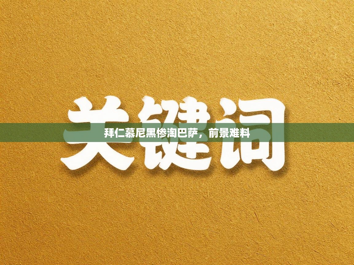 拜仁慕尼黑惨淘巴萨，前景难料  第2张